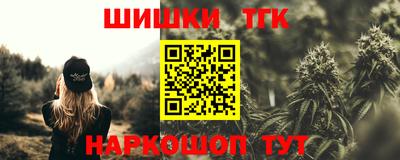 твердый Кингисепп